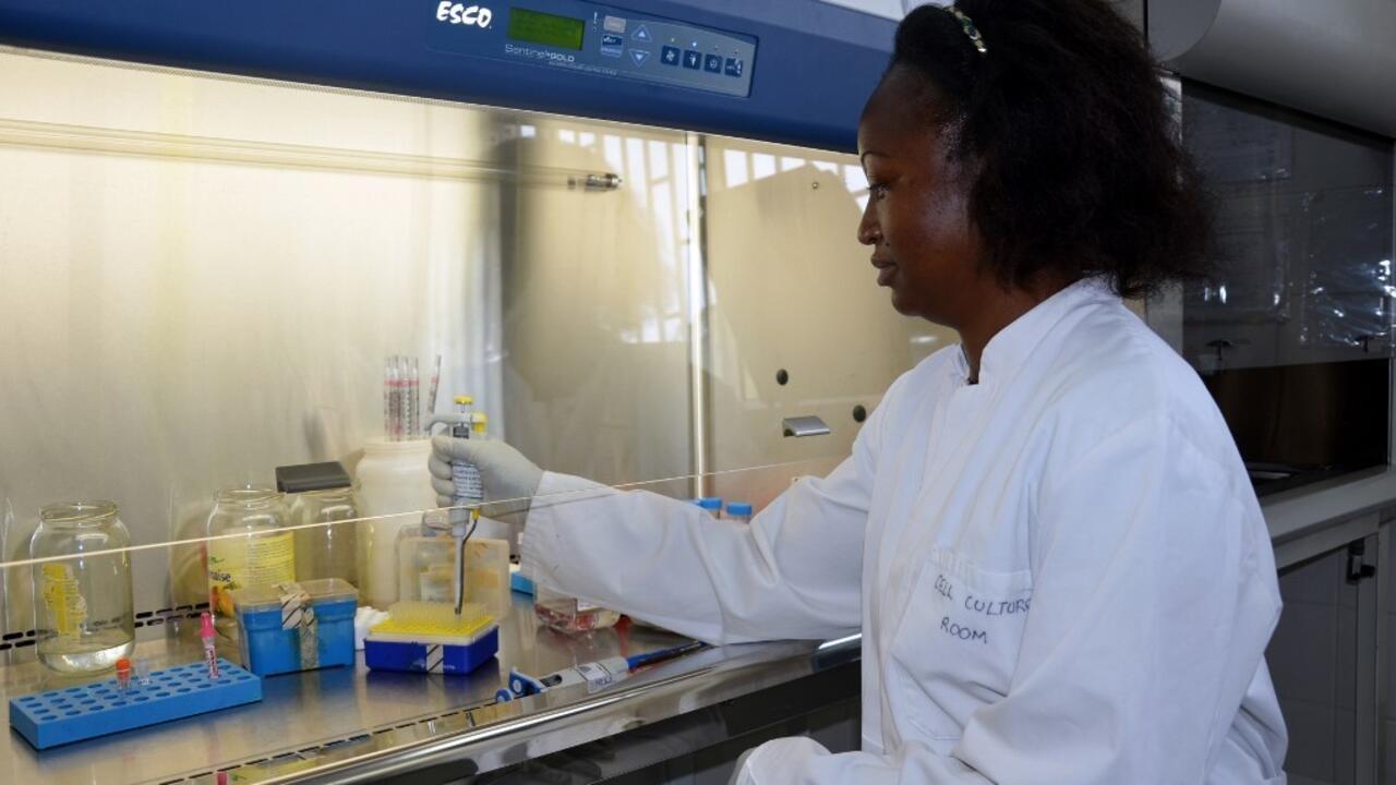 TO GO WITH AFP STORY BY CELIA LEBUR A researcher manipulates on December 11, 2012 blood samples from children vaccinated against malaria at the Albert Schweitzer Hospital in Lambarene, Gabon. AFP PHOTO / CELIA LEBUR (Photo by CELIA LEBUR / AFP)
